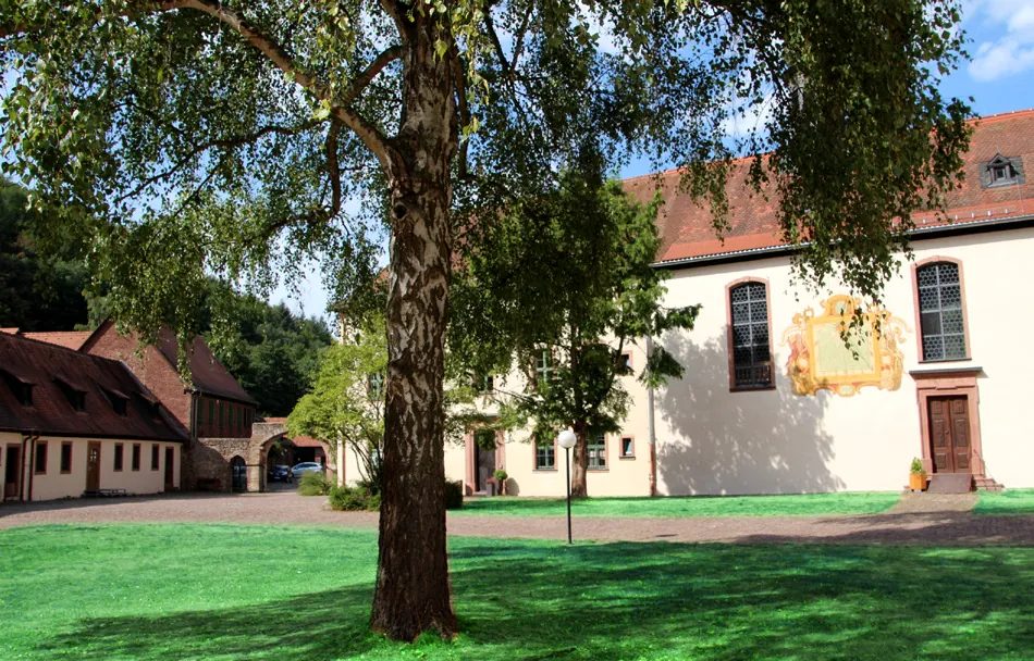 Westfassade der Klosterkirche mit Barockportal und Wandbild, davor eine große Birke
